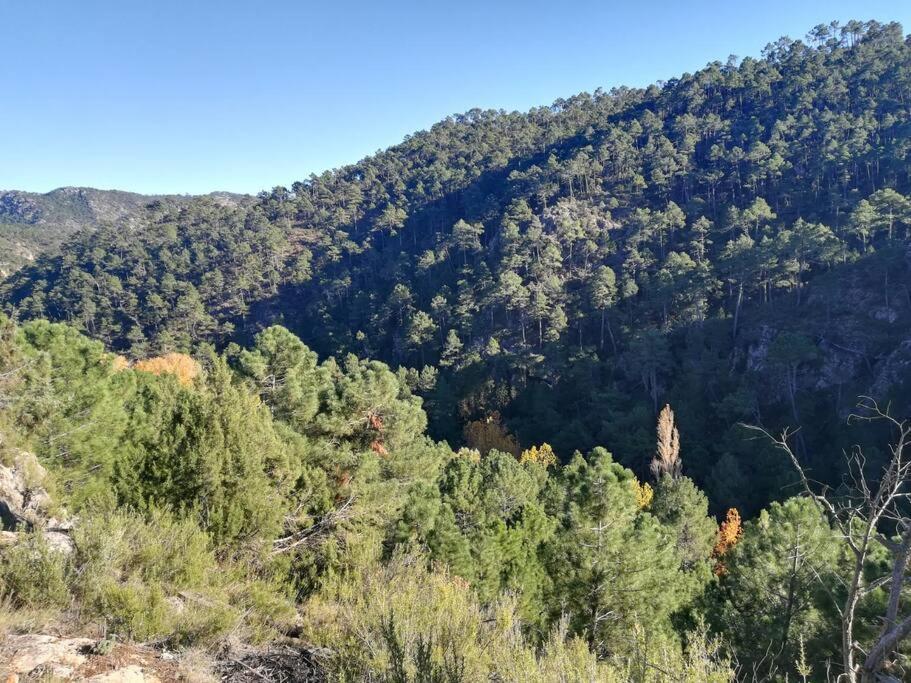 فيلا El Quejigo Molinicos المظهر الخارجي الصورة