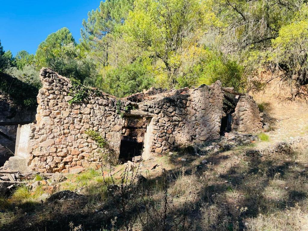 فيلا El Quejigo Molinicos المظهر الخارجي الصورة
